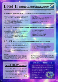 レベルⅡ（ステージ5〜ステージえ）パンフレット